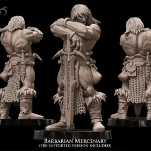 barbarian hero conan mercenary