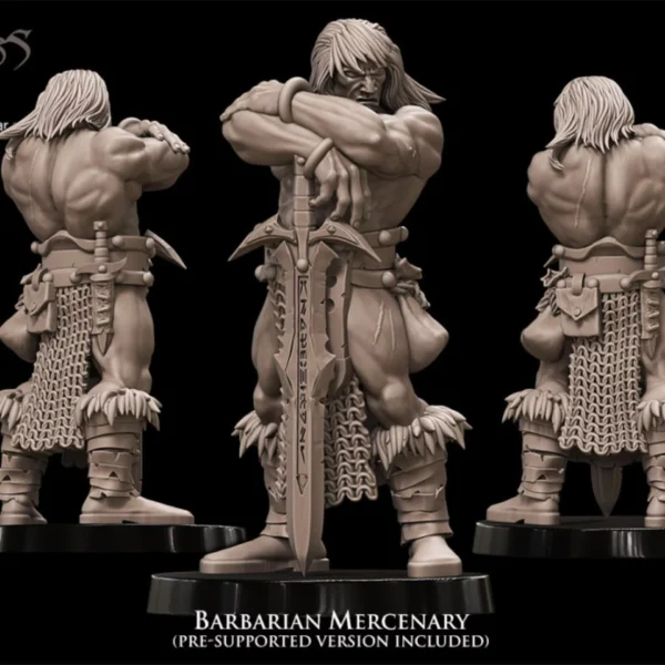 barbarian hero conan mercenary
