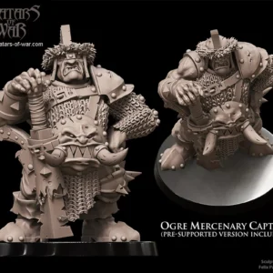 Ogre Mercenary Captain Hero