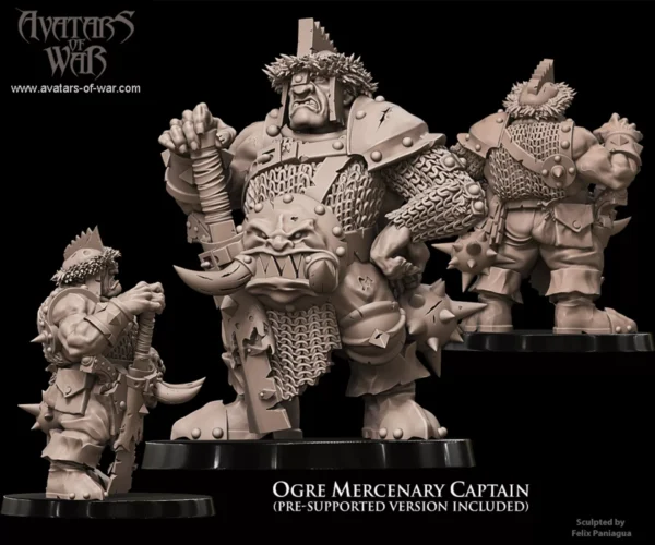 Ogre Mercenary Captain Hero