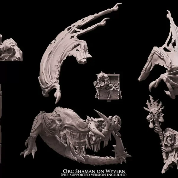 Shaman Wyvern orc Hero